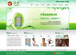 武汉天芝食品有限公司官网建设项目方案